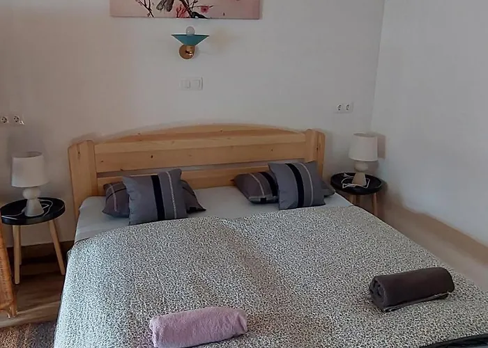 Odu Vendeghaz דירה *